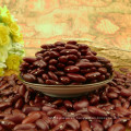 HQ China seca y cruda Dark Red Kidney Sugar Bean Precio 220-240